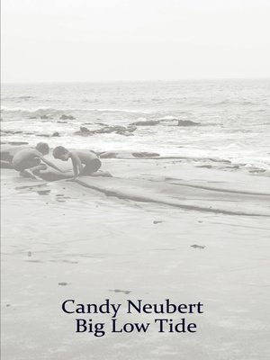 cover image of Big Low Tide